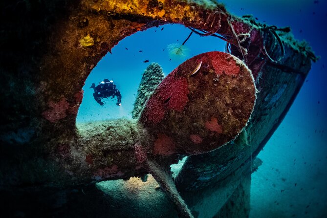 2 Scuba Fun Dives for Certified divers in St Paul's Bay - Key points to know before you go