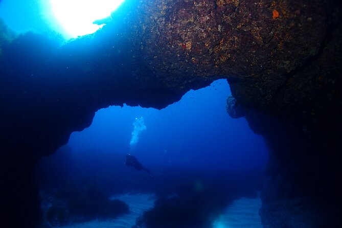 2 Scuba Fun Dives for Certified divers in St Paul's Bay - On-water expectations: reefs, caves, wreck possibilities, and clear-water chances