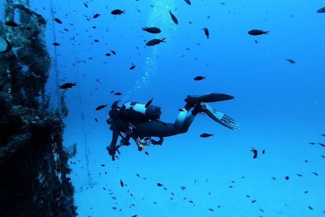 2 Scuba Fun Dives for Certified divers in St Paul's Bay - Getting there: Sliema meeting point and air-conditioned transfers