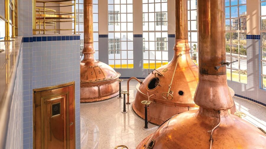 Brewery Experience with Beer Tasting and Optional Transport - Who this experience suits best, and who might want to skip it