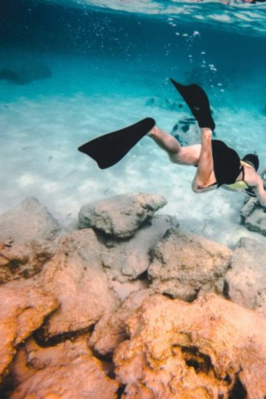 DiveSnap Underwater Sports Thrills:Lantern Point & P31 Wreck - A 3-hour private boat plan from Cirkewwa or Mgarr