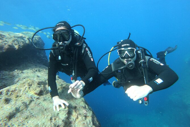 Diving experience in Malta - The underwater training flow: skills, breathing, and fish spotting