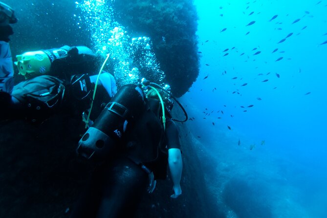 First Experience Scuba Diving - Gear Is Included, and That Changes the Whole Feel