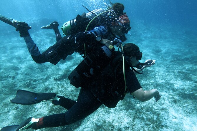 First Experience Scuba Diving - Safety, Health Checks, and the Stuff You Must Not Skip