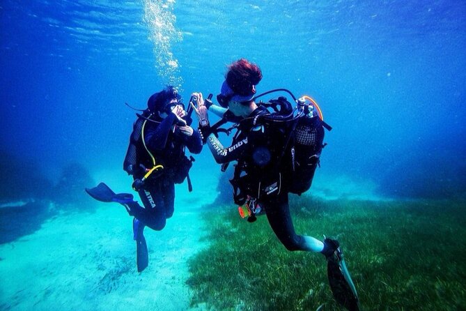 First Experience Scuba Diving - Price and Logistics: Where the Value Comes From
