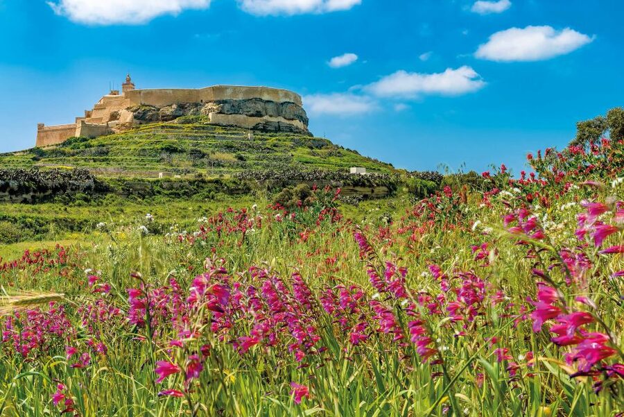 From Malta: Gozo Day Trip Including Ggantija Temples - Price and What $92 Buys You in Real Terms