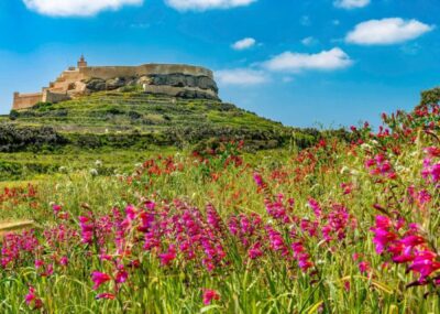Gozo Full-Day Tour with Guide, Temples, & Train