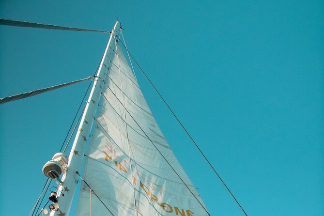 Full-Day Catamaran Cruise with Lunch in Island of Malta - Getting to Picard Tigné and timing your day around a 10:30 departure