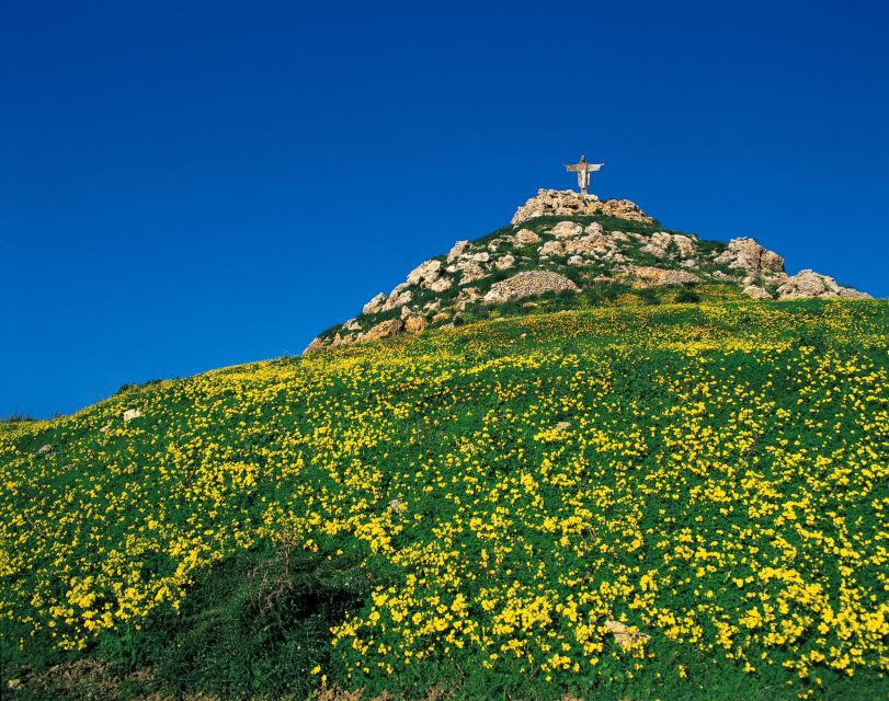 Gozo Day Pass Ferry and Hop-on Hop-off buses with audio Tour - The Ferry Piece: Captain Morgan iSee Malta Coastal Route, Same-Day Return