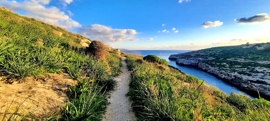 Gozo Unveiled: Guided Hiking in Gozo - South East - Key highlights worth your attention