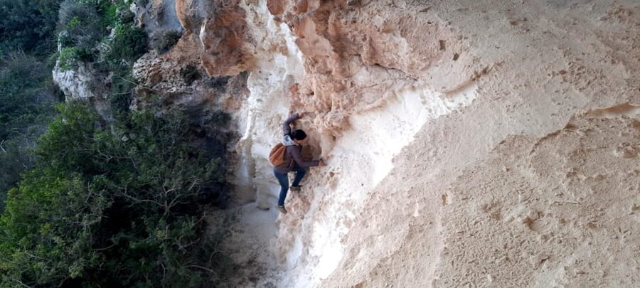 Gozo Unveiled: Guided Hiking in Gozo - South East - Wild valley ecology: flora and fauna you can actually spot