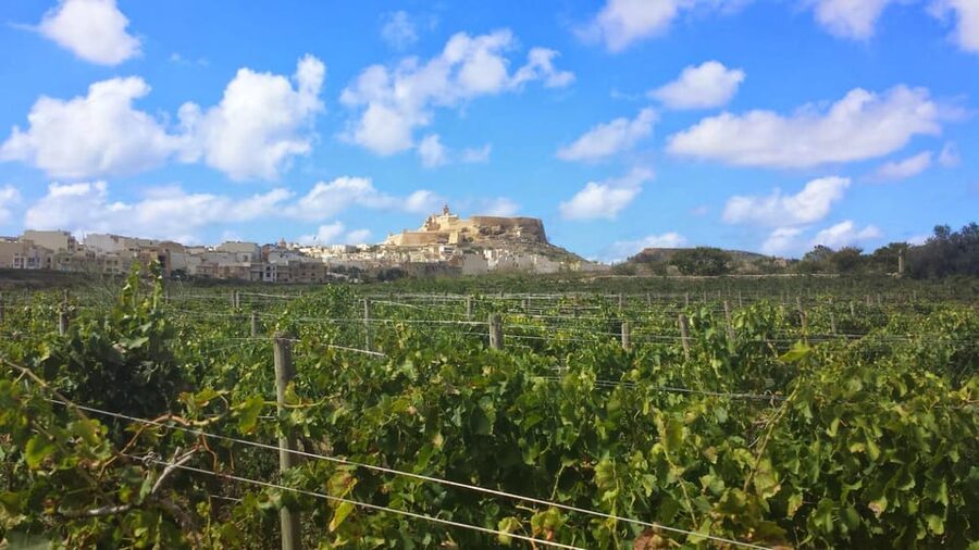Gozo Victoria Walking Tour - How the Guide Makes Victoria Make Sense (Chris, Joseph, and the Value of Focus)