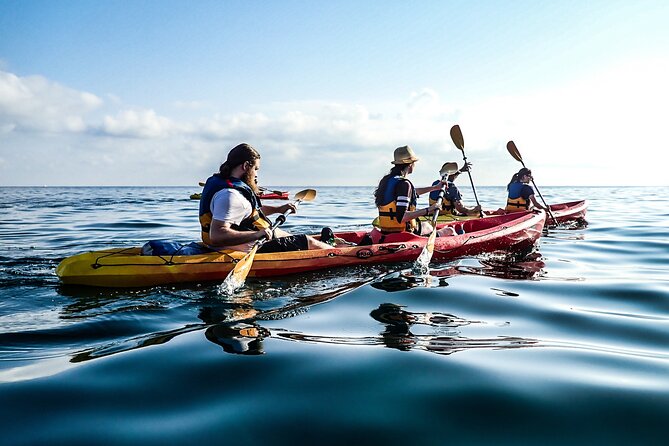 Guided Kayak Tour in St Paul's Island - Price and value: is $52.42 per person worth it?