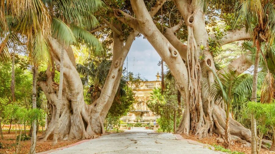 Highlights of Malta Tour:Icons and Experiences of the Island - Where pick-up happens, and why it matters in Malta