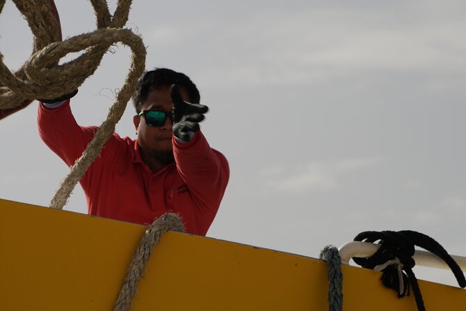 Highspeed Catamaran Crossing Between Malta and Gozo - How Often Does It Run, and How to Pick Your Timing