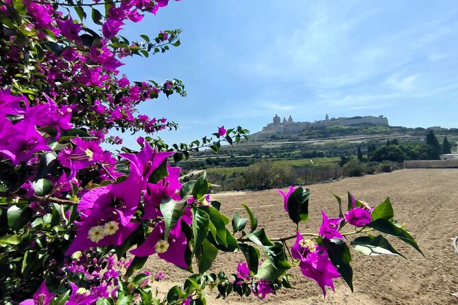 Island Day Tour with a Private Local Driver - Mdina Old City: medieval lanes, St Paul’s Cathedral, and the underground story layers