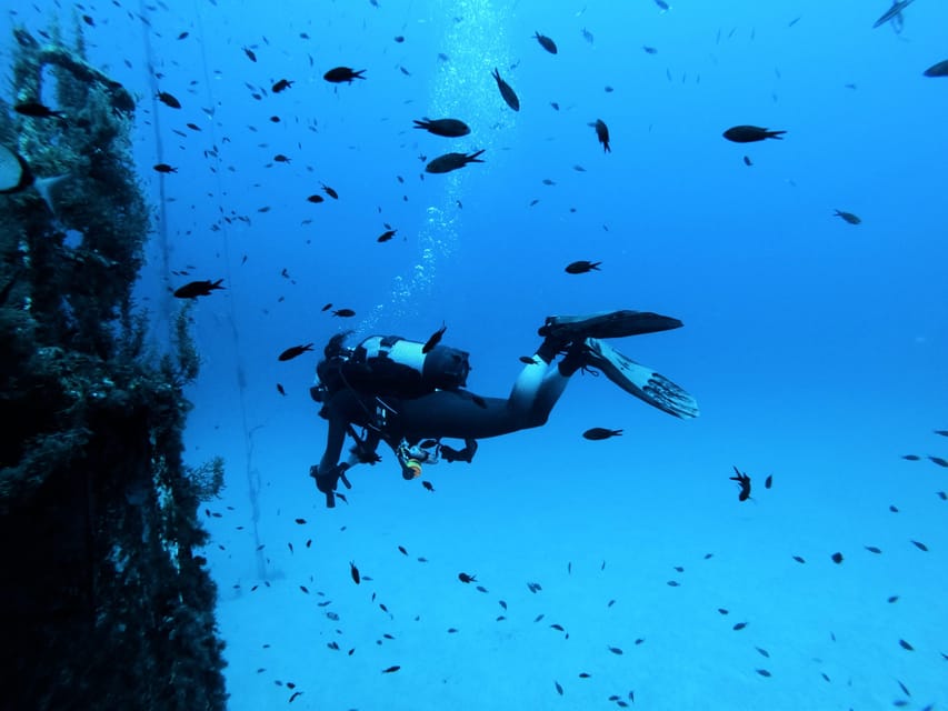 Malta: 2 Scuba Fun Dives for Certified divers - Key things I’d circle before you book