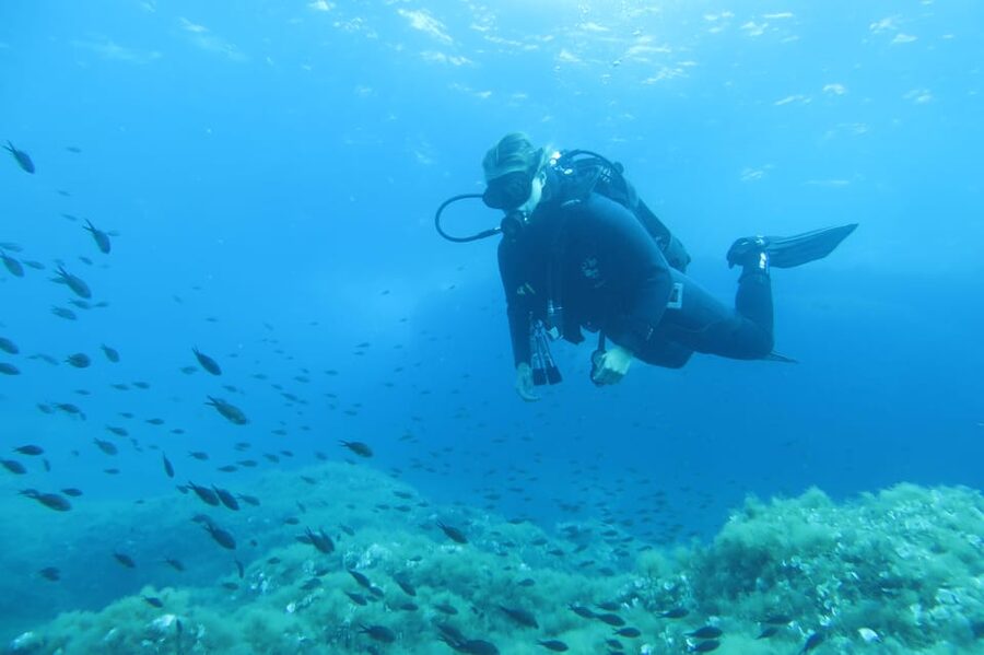 Malta: 2 Scuba Fun Dives for Certified divers - Malta scuba, two sessions, built for certified people
