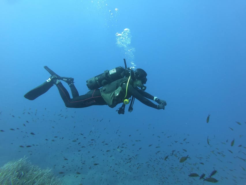 Malta: 2 Scuba Fun Dives for Certified divers - Session one: reefs, arches, caves, and tunnels