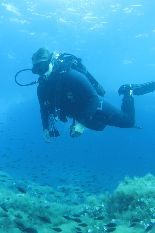Malta: 2 Scuba Fun Dives for Certified divers - Session two: second chance to notice what you missed