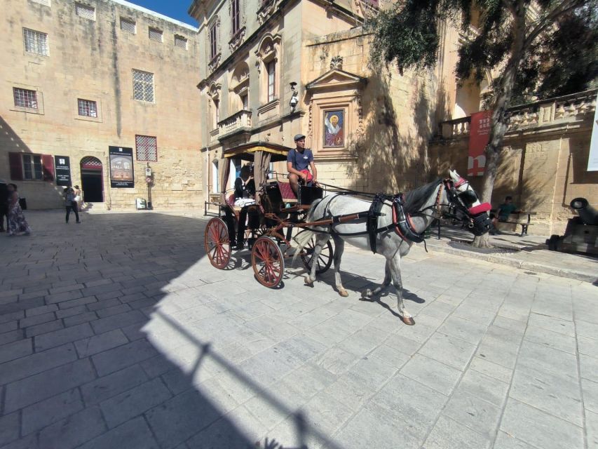 Malta: Ancient Wonders, Coastal Charms, and Cities Tour - Price and value: $436 per group up to 4 for a full ancient and coastal day