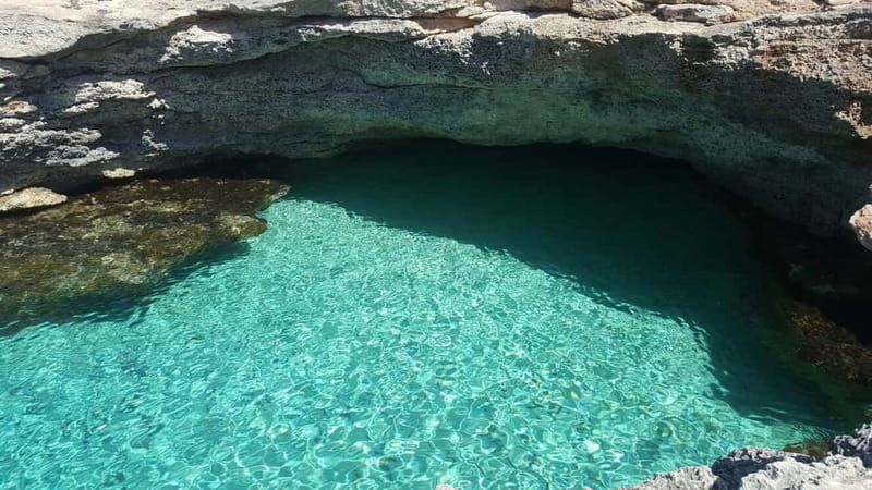 Malta: Comino, Blue Lagoon, + Sea Caves Day Trip - Blue Lagoon 2.5 hours: the big swim, the crowd reality, and the QR rule