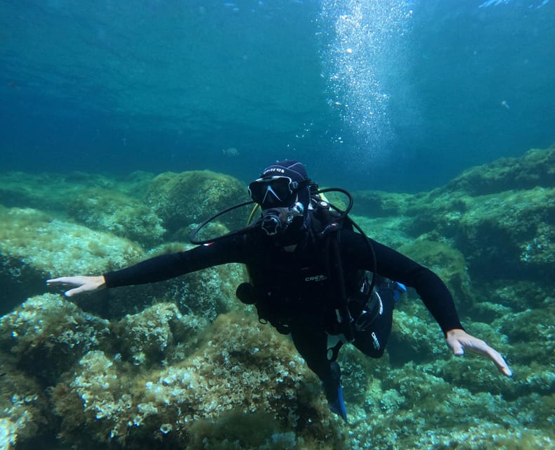 Malta: Discover Scuba Diving in crystal clear waters - Language, instructor support, and why the group limit matters
