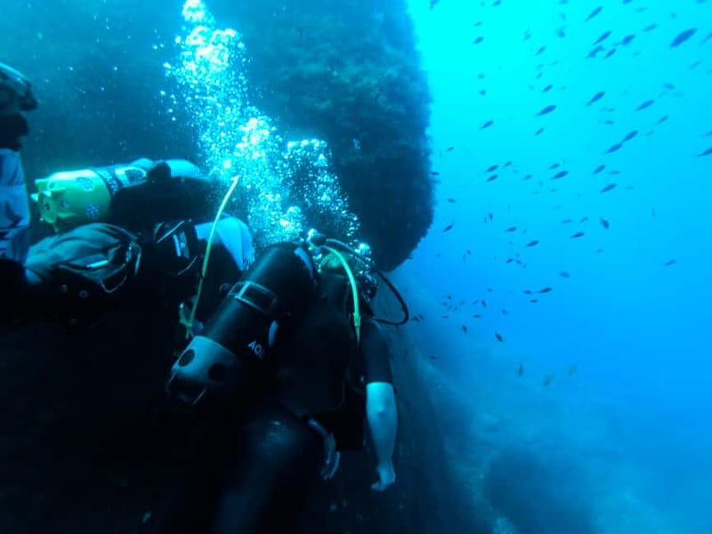 Malta: First Experience Scuba Diving Lesson - Key highlights worth prioritizing