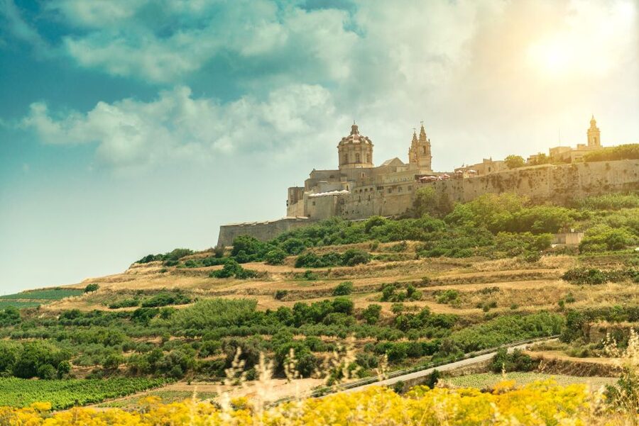 Malta: Highlights of Malta & Mdina Full Day Tour with Lunch - Mosta Rotunda: the dome moment inside the third-largest unsupported span