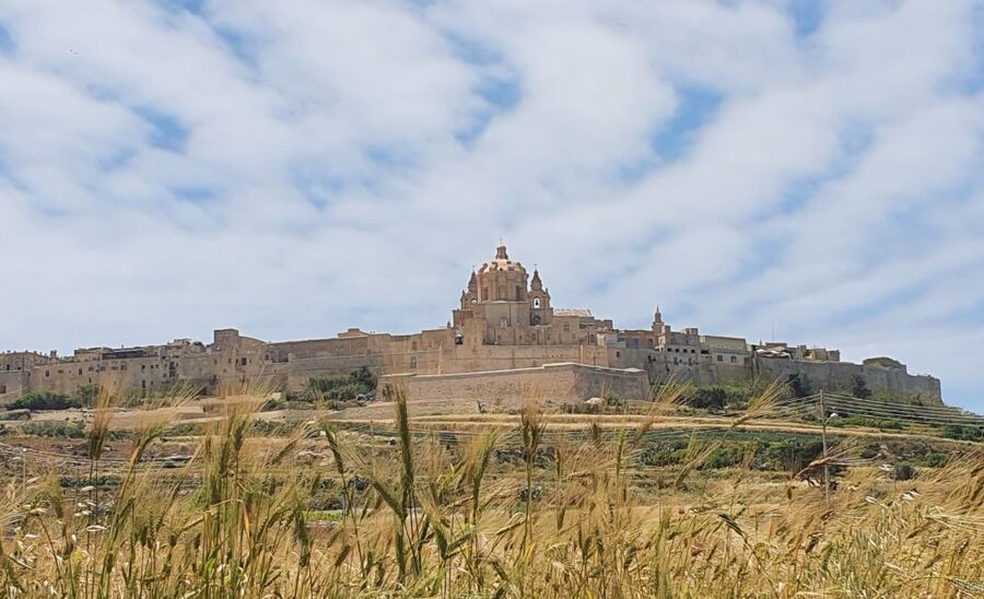 Malta: Mdina and Rabat Food Tour - Beer, Tapas, and the Two-Craft-Beer Moment
