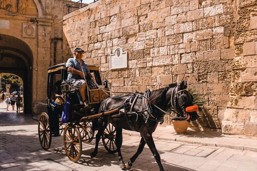 Malta: Mdina, Dingli Cliffs and San Anton Botanical Gardens - FAQ