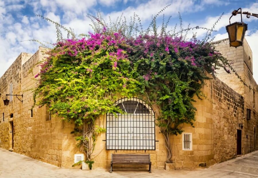 Malta: Mdina, Dingli Cliffs and San Anton Botanical Gardens - Who This Tour Suits Best (and Who Might Want to Skip It)