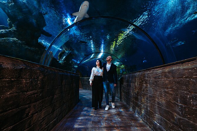 Malta National Aquarium Entrance Ticket - Sharks, Rays, and Indo-Pacific Animals You Can Point To