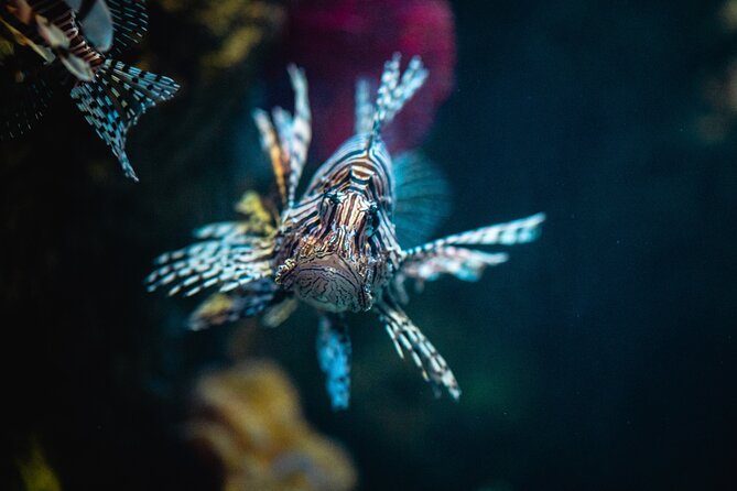 Malta National Aquarium Entrance Ticket - Reptiles, Insects, and Amphibians (Yes, It Counts as a Break From Fish)