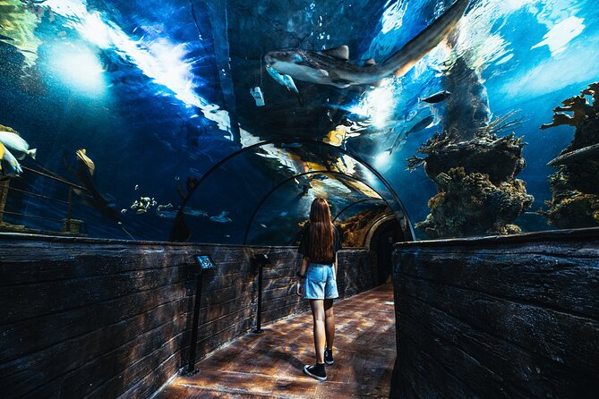 Malta National Aquarium Entrance Ticket - The “Starfish Shell” Layout: How the Visit Feels Once You’re Inside