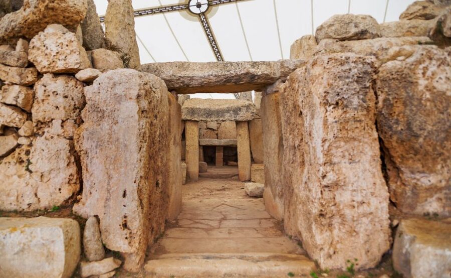 Malta Tour : Private Car- Mdina, Marsaxlokk, Blue Grotto - Marsaxlokk for seafood, market energy, and real harbor life