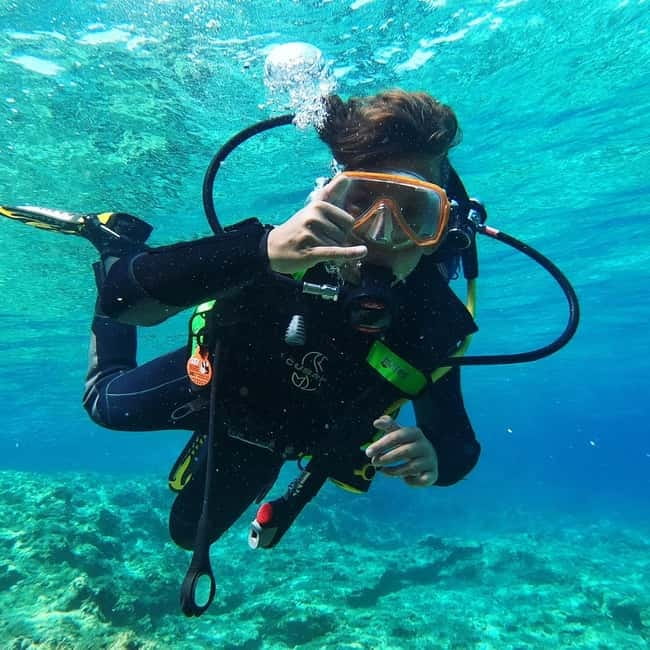 Malte : Baptême de plongée sous-marine en Français - The quick MaltaVan transfer: what you should do on the way