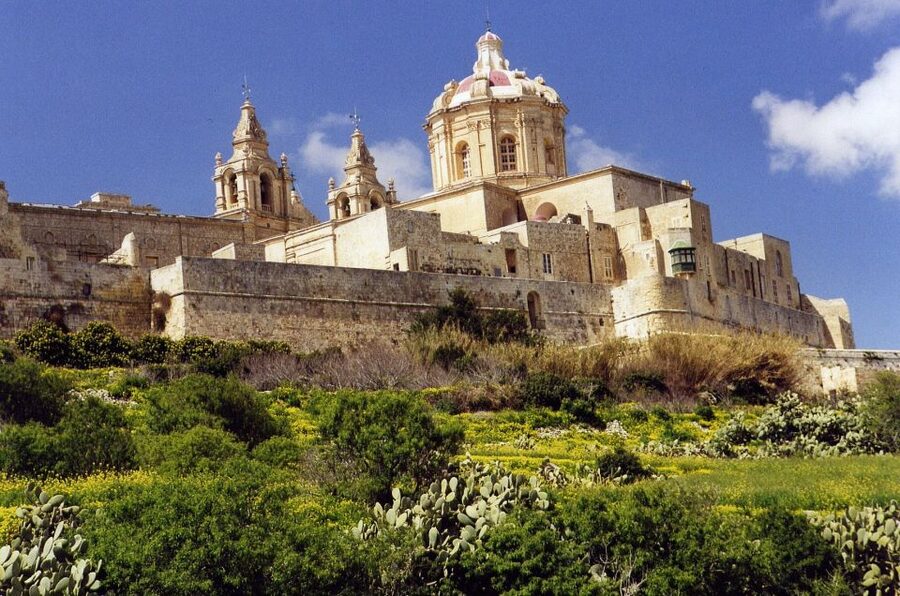 Mdina and Rabat Private Walking Tour with local pastizzi - Should you book this Mdina and Rabat private walk with pastizzi?