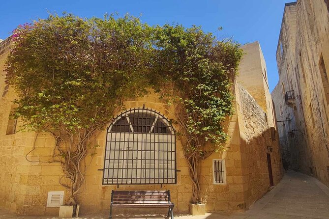 Mdina and Rabat Tour with a local licensed guide - Price and value: what you pay and what you get for $66.26