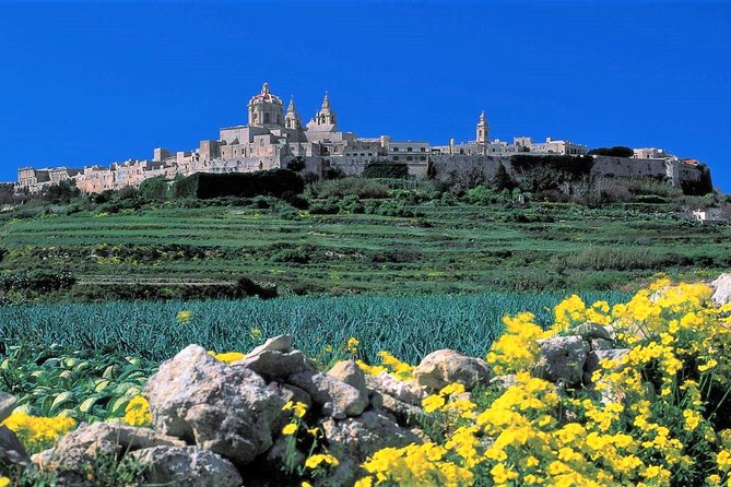 Mdina, Dingli cliffs and San Anton Gardens guided tour - What to bring and how to pace yourself
