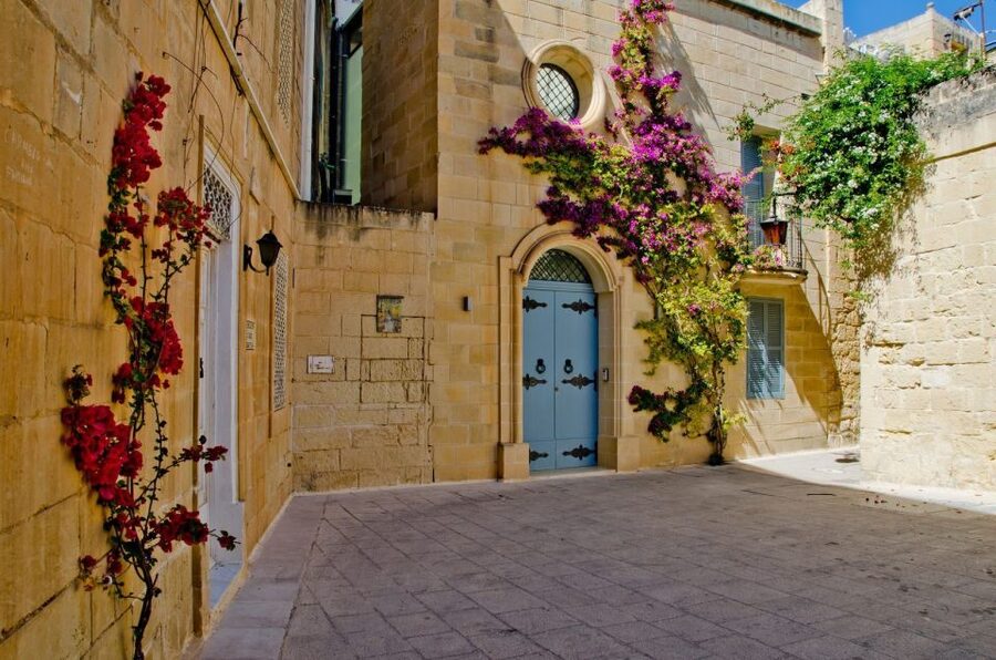 Mdina: Private Historical City Walking Tour with Rabat Town - Price and value: $177 per group up to 12, plus the entrance-fee reality