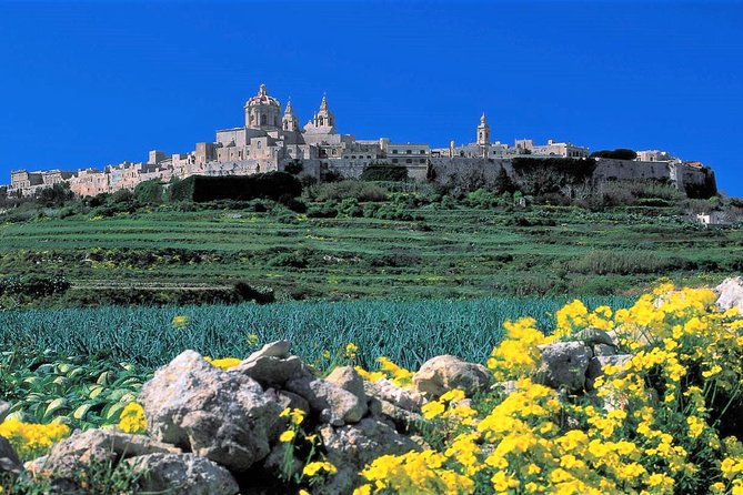 Mdina, Rabat, Dingli cliffs, San Anton gardens, Ta' Qali & Mosta guided tour - Key highlights I’d plan around