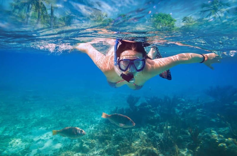 Mellieha: Round Comino, Blue Lagoon & Gozo Cruise with Water - Price and value: where your $34 really goes