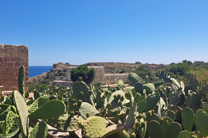 North Malta Quad Bike Tour with Land or Sea Views and Swimming - Price and Value at $89.65, What You Get for a Half-Day North Malta Plan