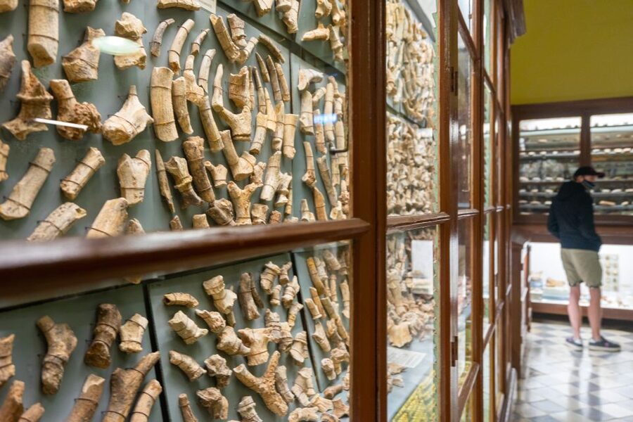 Prehistoric Temples of Malta Tour - Key Points To Know Before You Go