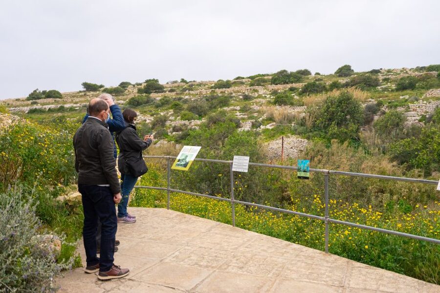 Prehistoric Temples of Malta Tour - Who Should Book This Prehistoric Temples Tour (and Who Might Want a Different Plan)