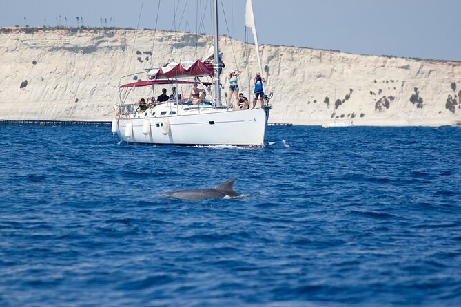 Private Marine Life Spotting - Dolphin watching EcoMarine Malta - Key Highlights I’d Write on a Post-It
