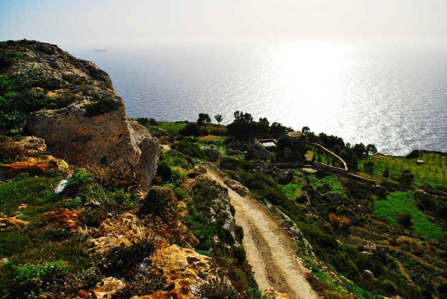 Scenic Tour by Vintage Bus to Buskett Garden & Dingli Cliffs - Palazzo Falson in Mdina: where multiple eras overlap
