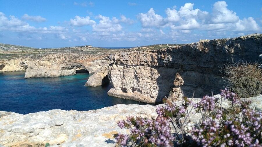 Shore Excursion Tour - Half Day - Malta National Aquarium near St Paul’s Bay and Qawra