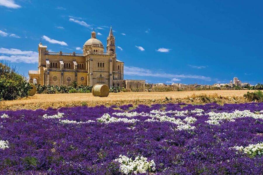 Sliema or St. Paul's Bay: Best of Gozo and Comino Day Trip - Should you book it?